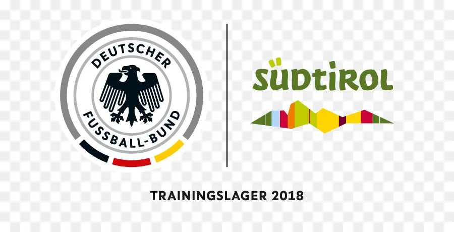 Dfb Logosu，Futbol PNG