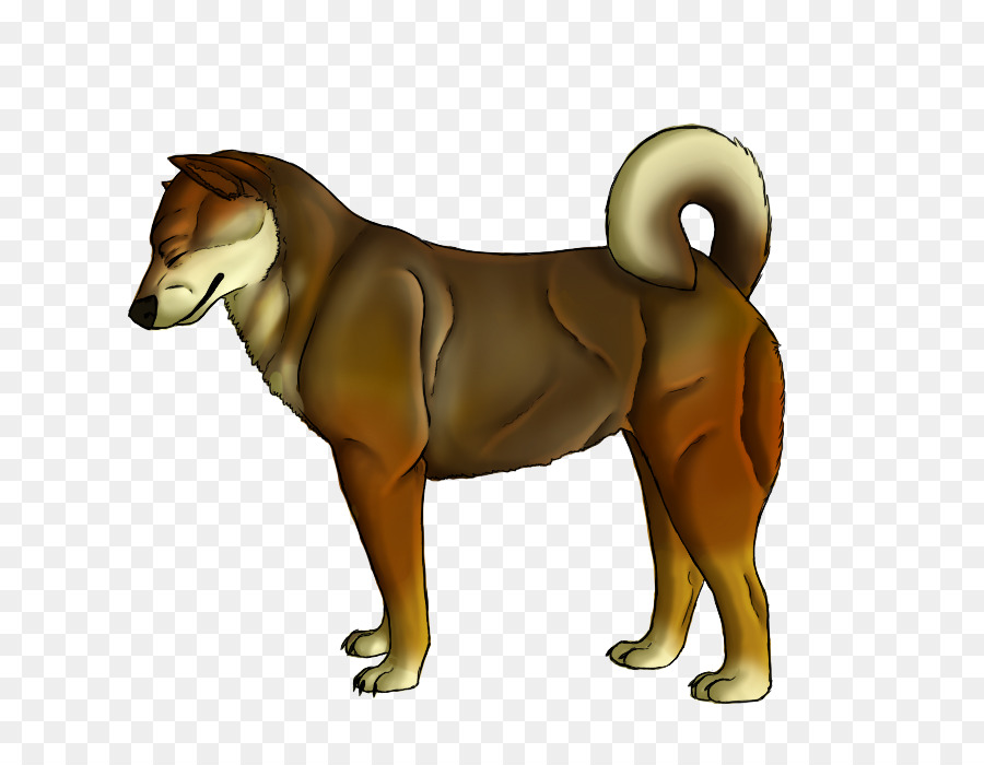 Köpek ırkı，Aslan PNG
