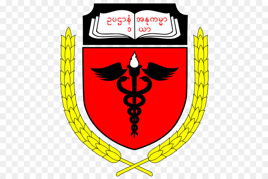 Tıp Üniversitesi Magway，Bilgisayar Üniversitesi Magway PNG