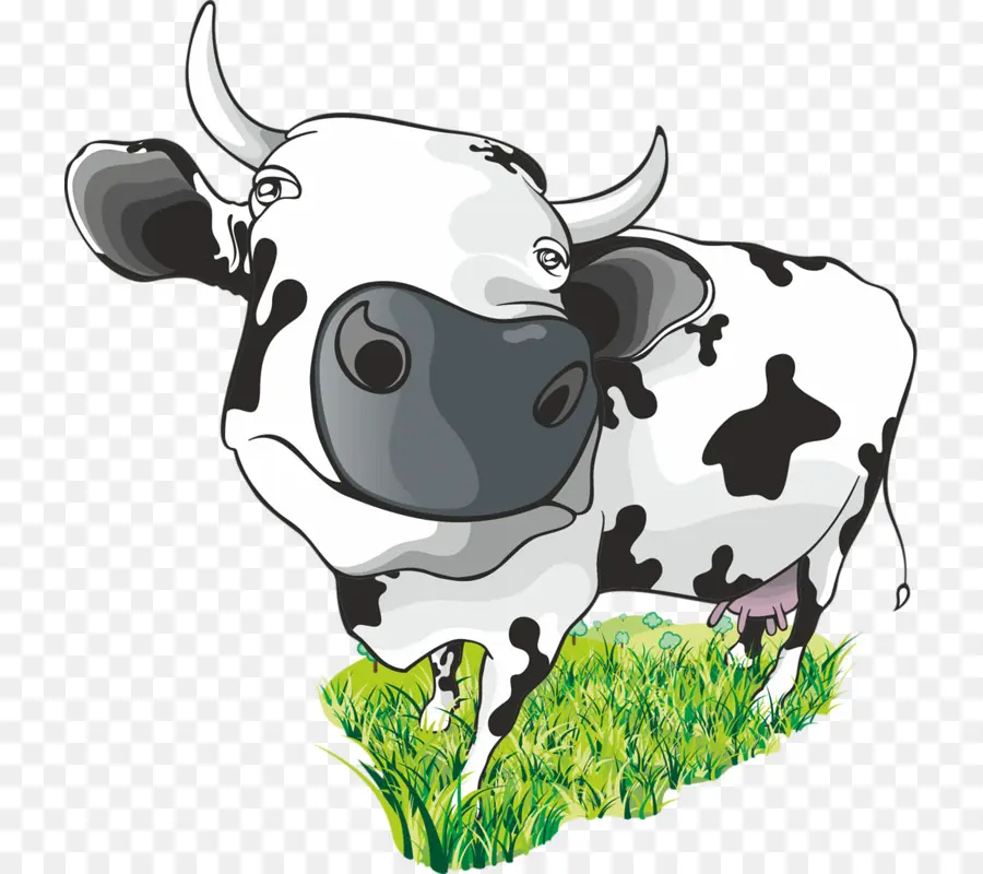 Süt Sığırları，Batur PNG