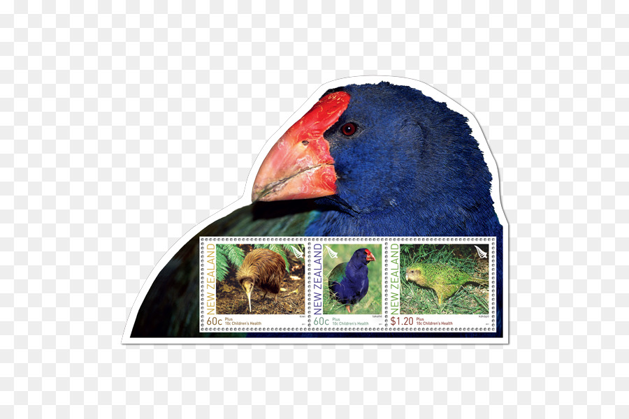 Papağan，Reklam PNG