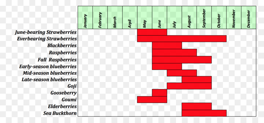 Grafik Tasarım，Belge PNG