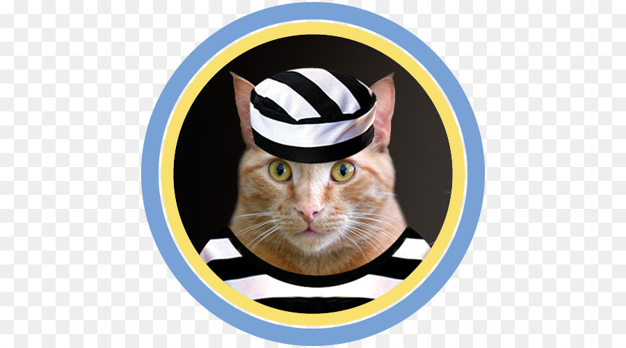 Bıyıkları，Kedi PNG