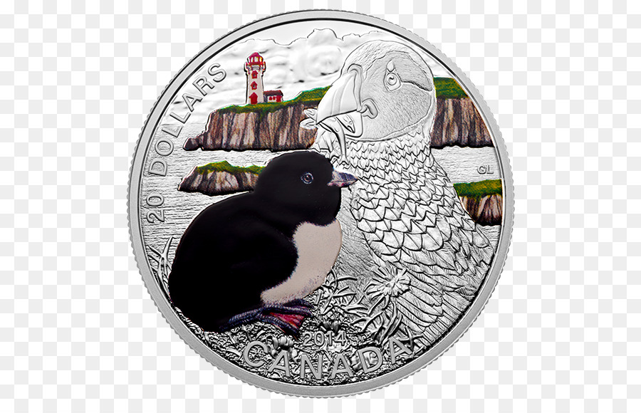 Atlantik Puffin，Gümüş Sikke PNG