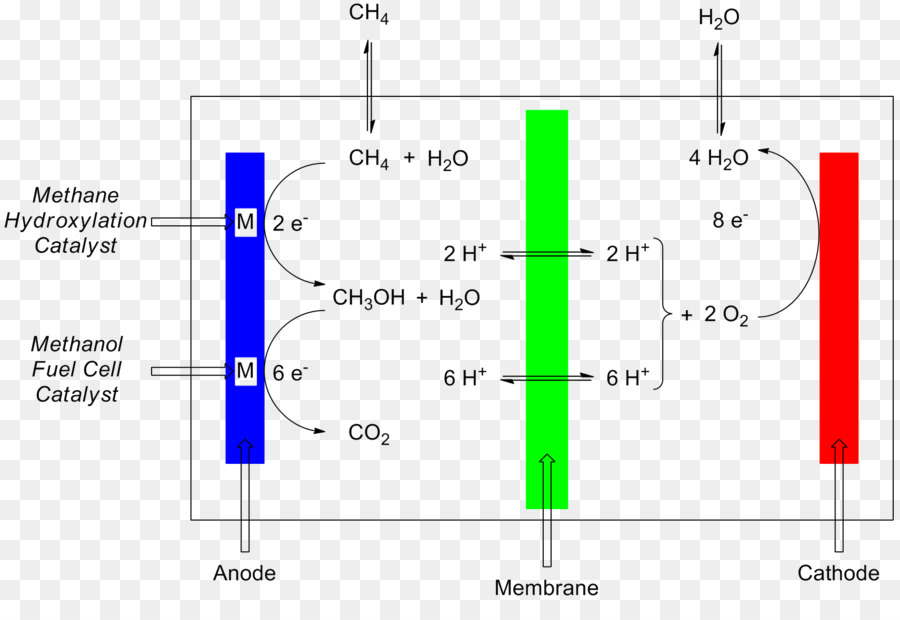 Yakıt Hücreleri，Mikrobiyal Yakıt Hücresi PNG