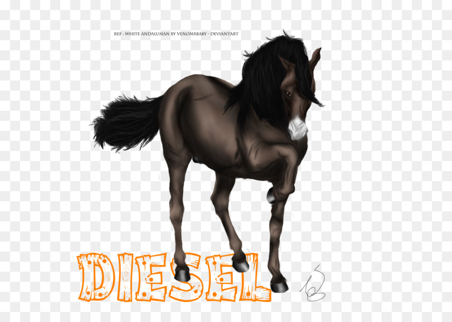 Mustang，Midilli PNG