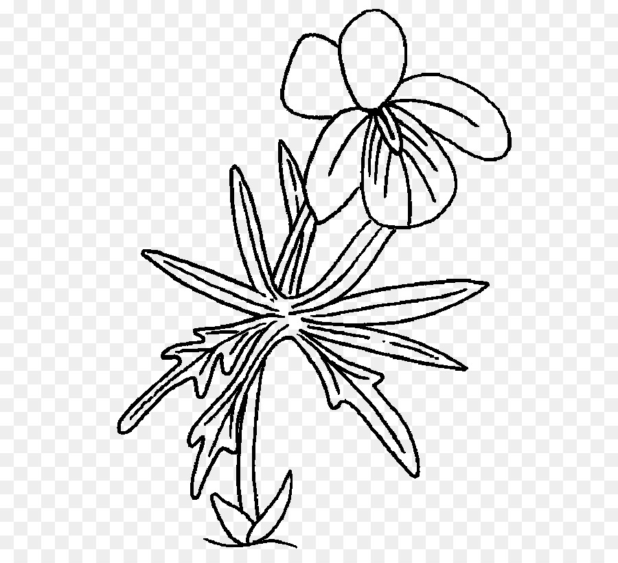 Çizim，çiçek Tasarımı PNG