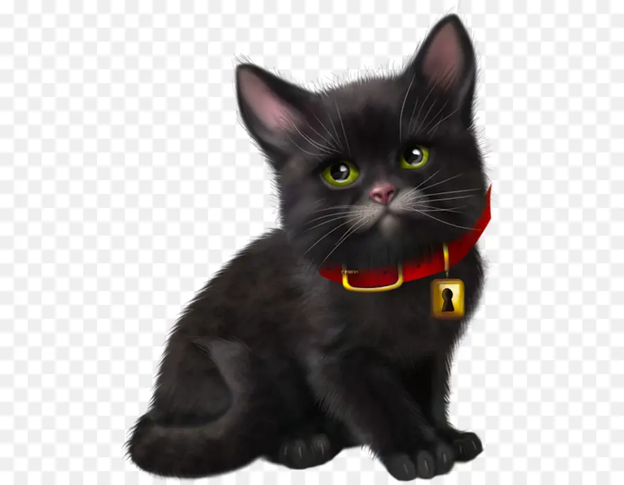 Kara Kedi，Yavru Kedi PNG