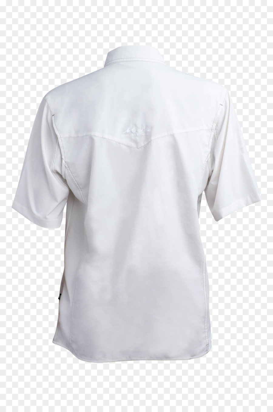 Tshirt，Elbise PNG