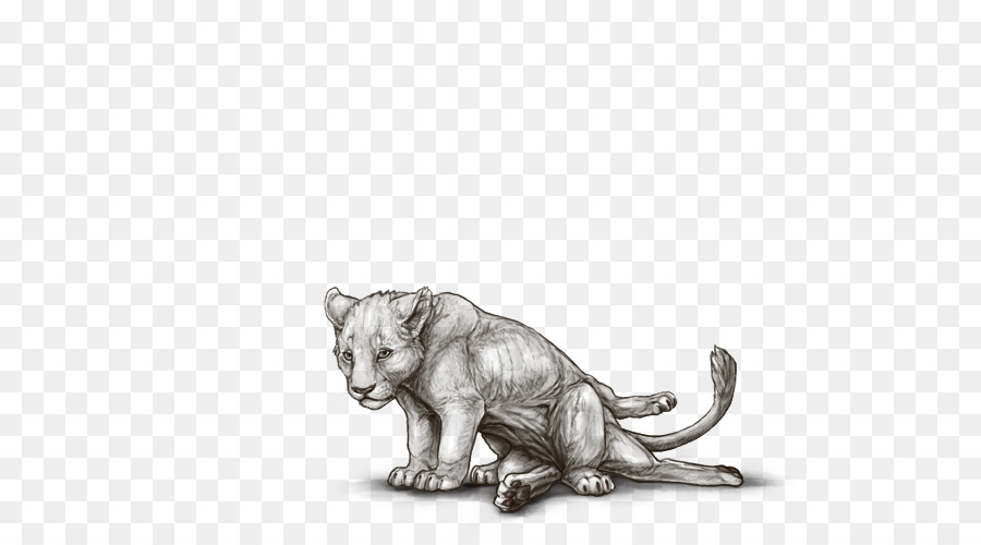 Aslan，Kaplan PNG