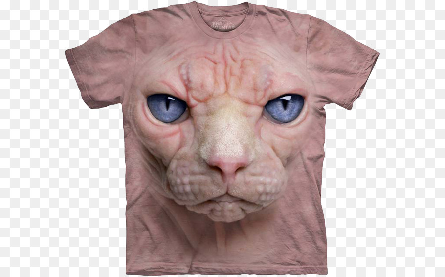 Tshirt，Kedi PNG