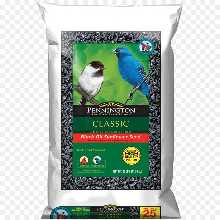 Kuş Gıda，Karınca PNG