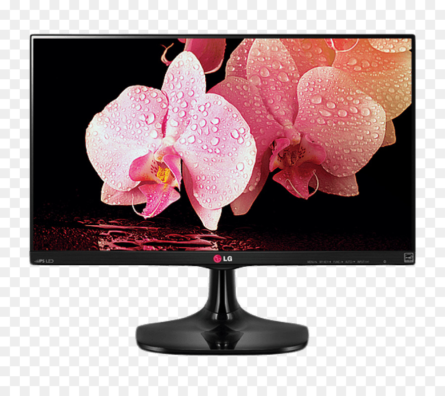 Bilgisayar Monitörleri，Ips Panel PNG