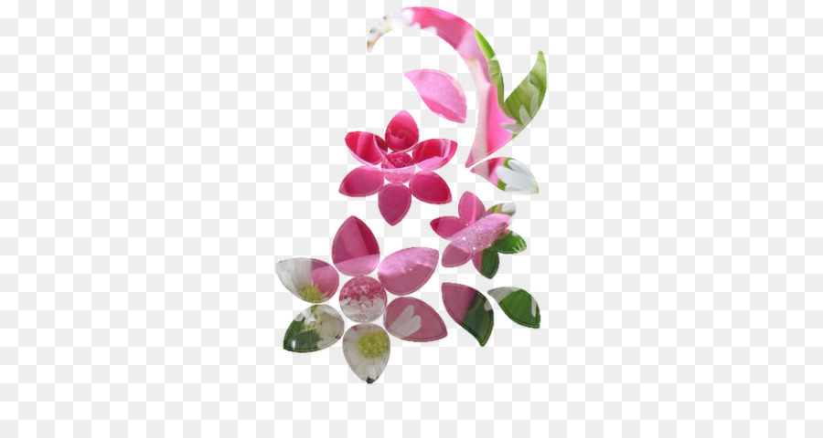 Güve Orkide，çiçek PNG