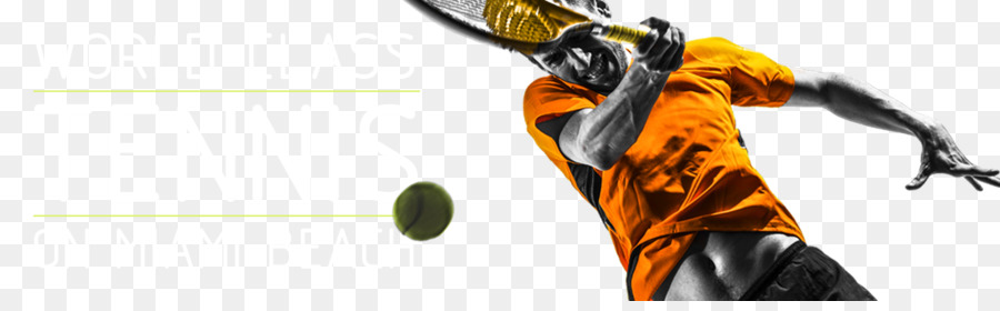 Tenis Oyuncusu，Raket PNG