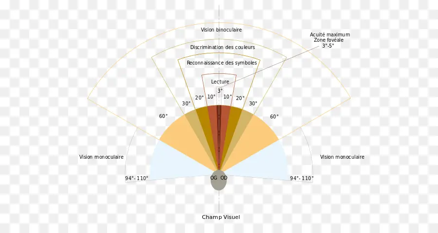 Görme Alanı şeması，Görüş PNG