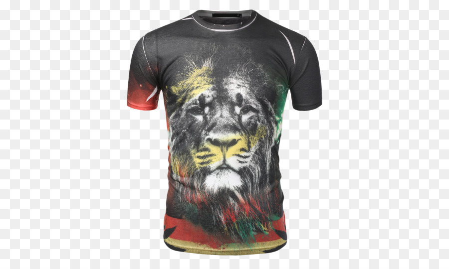 Tshirt，Aslan PNG