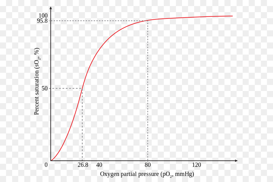 Hemoglobin，Oksijen PNG