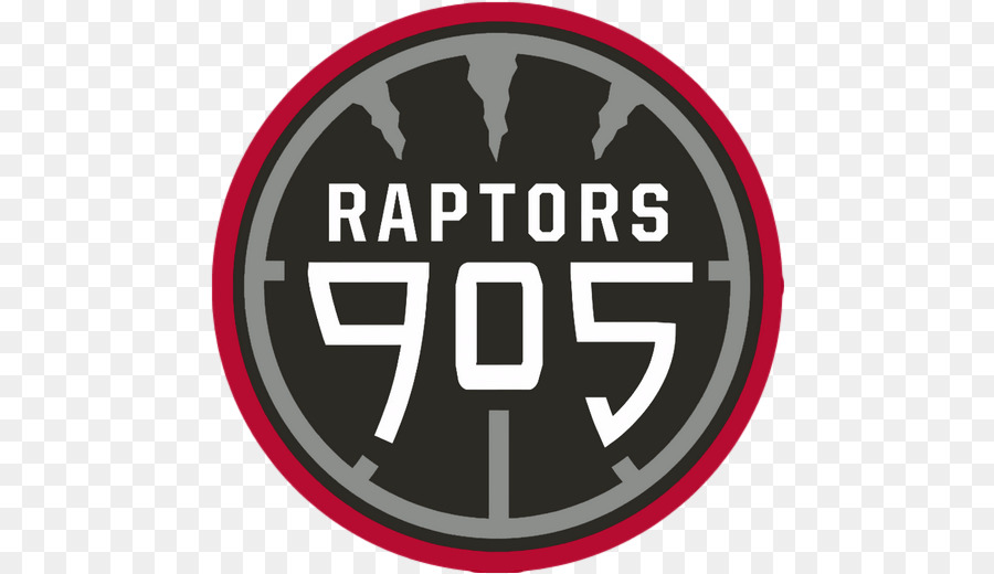 Raptors 905 Logosu，Basketbol PNG