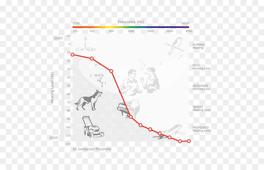 İşitme Testi Tablosu，Odyogram PNG