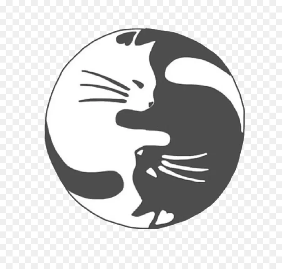 Yin Yang Kedileri，Kediler PNG