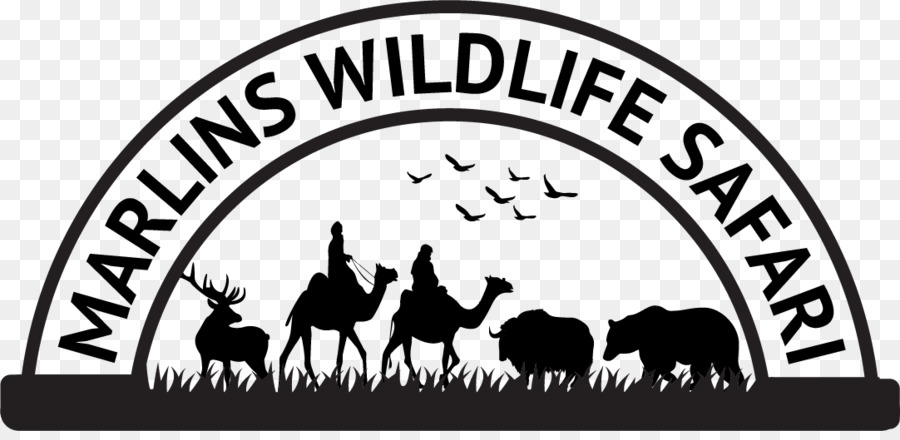 Marlins Yaban Hayatı Safari，Logo PNG