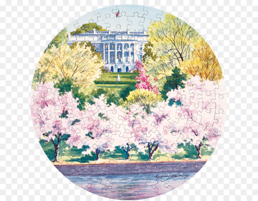 Beyaz Saray，çiçeği PNG