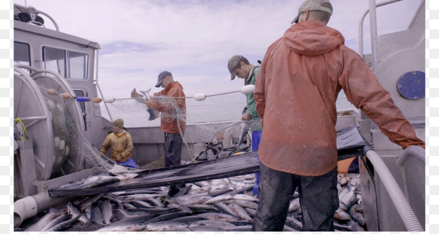 Alaska，Alaska Somon Balıkçılık PNG