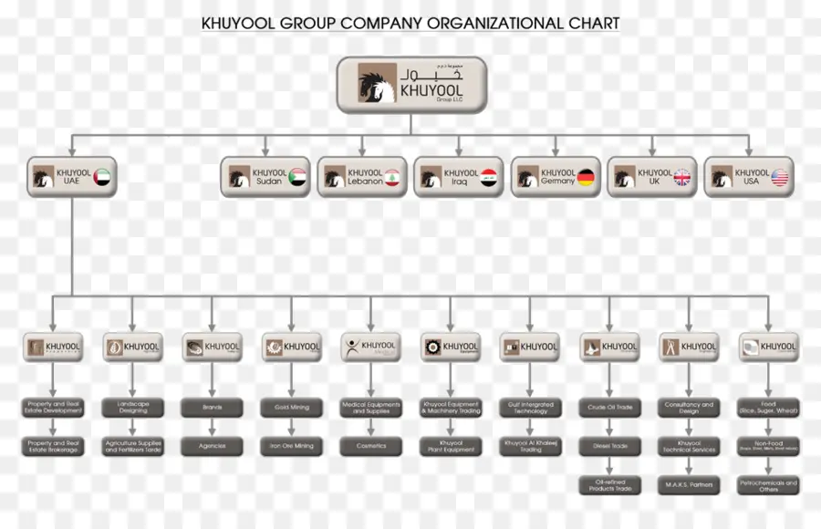 Organizasyon şeması，şirket PNG