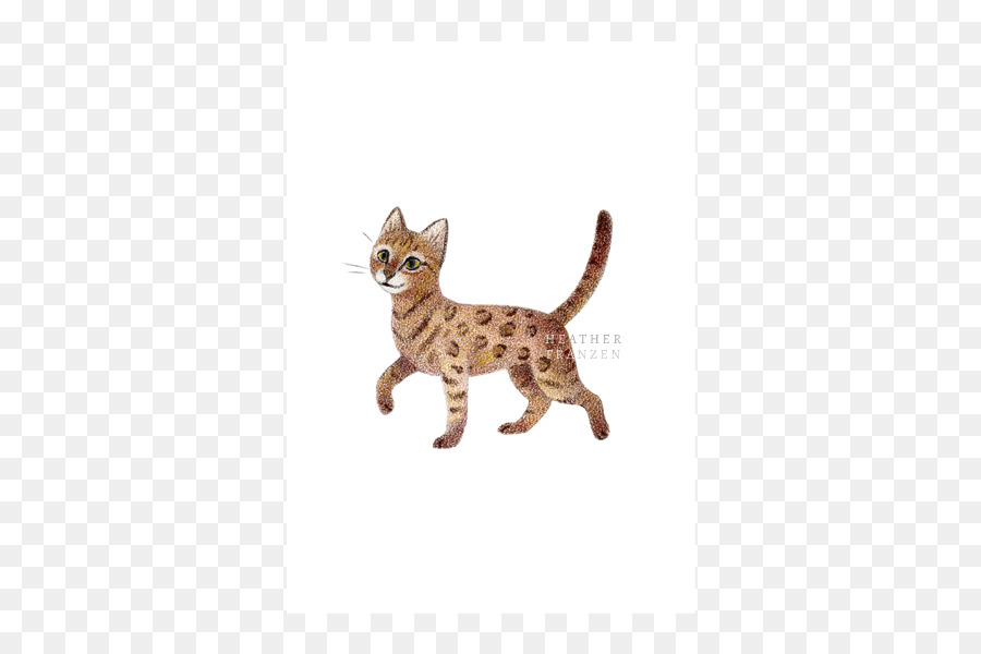 Kedi，Yavru Kedi PNG