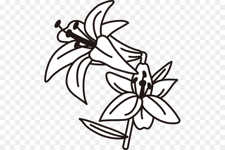 Siyah Ve Beyaz，çiçek PNG