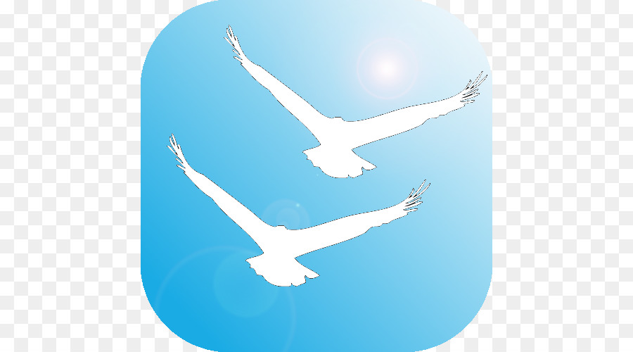 Kuş，Barış Sembolleri PNG