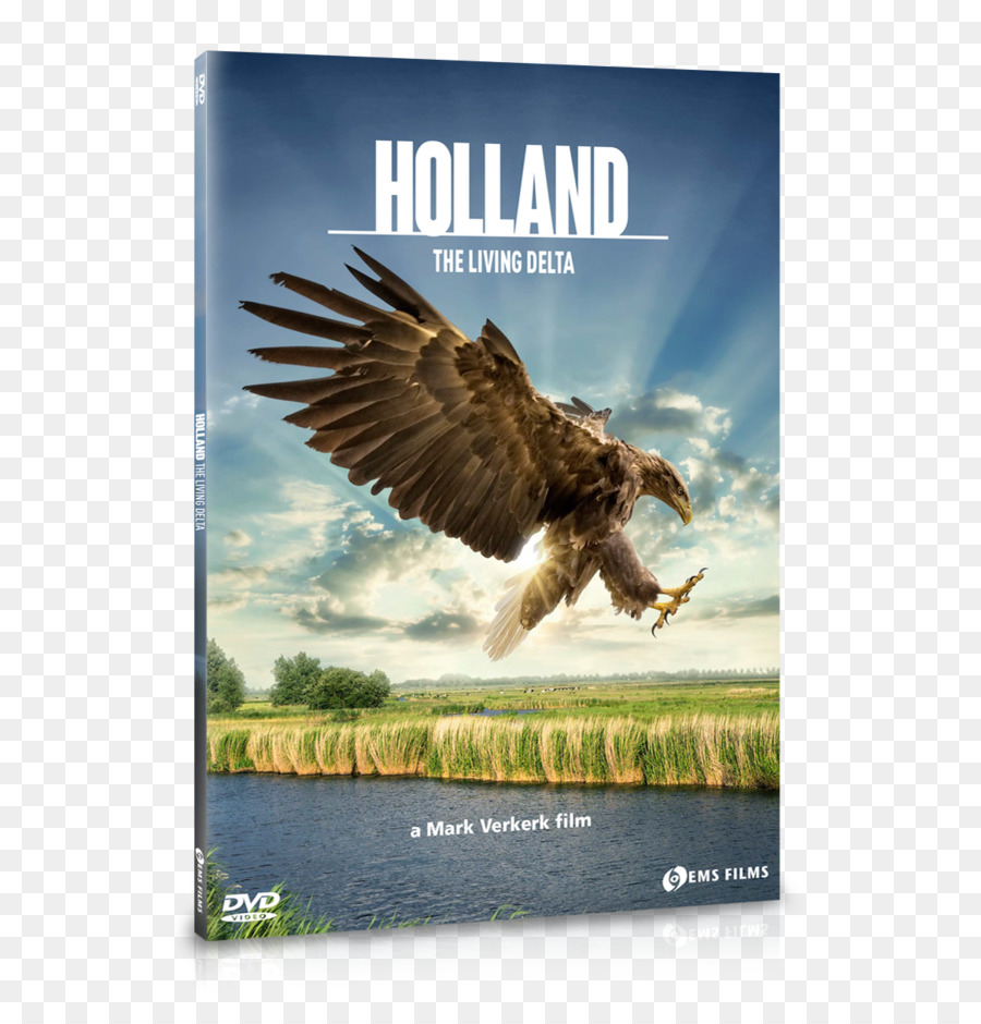 Hollanda，Belgesel Film PNG