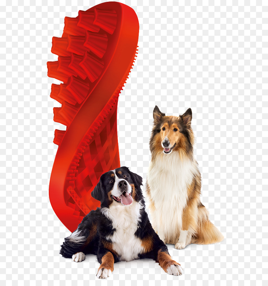 Köpek，Kedi PNG