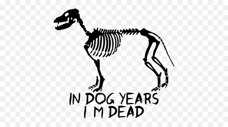 Köpek İskeleti，Mizah PNG