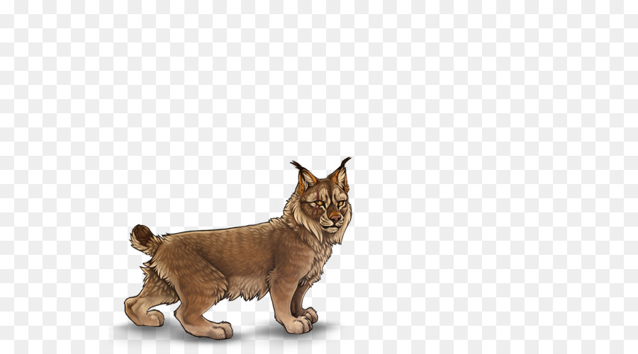Kedi，Bıyıkları PNG