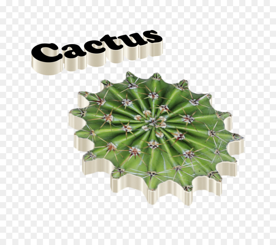 Cactaceae，Logo PNG