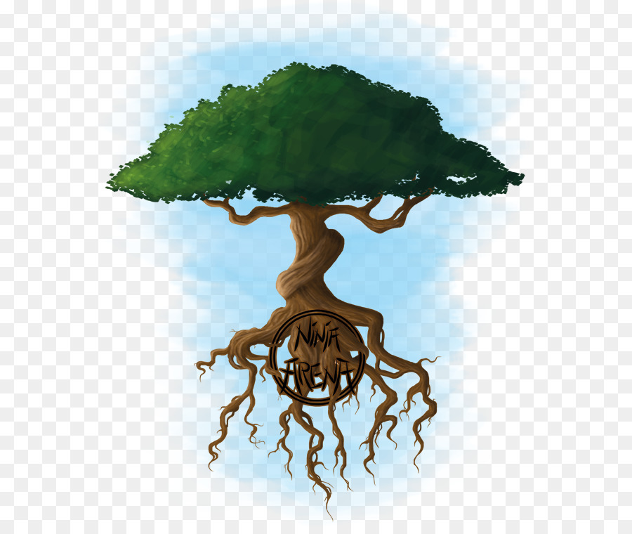 Ağaç，Saksı PNG