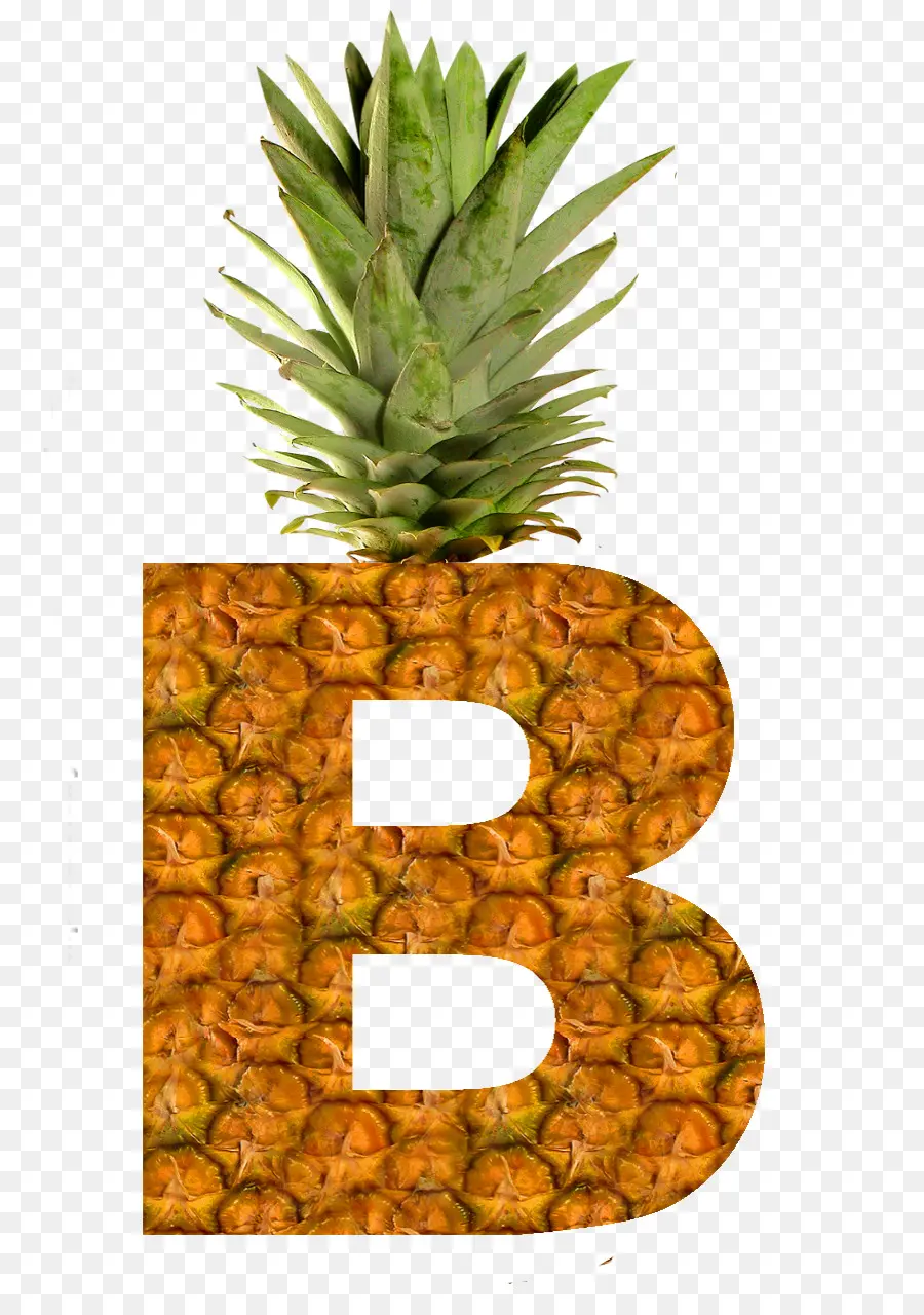 Ananas，Meyve PNG