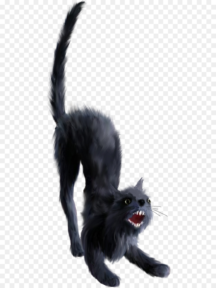 Kara Kedi，Kedi PNG