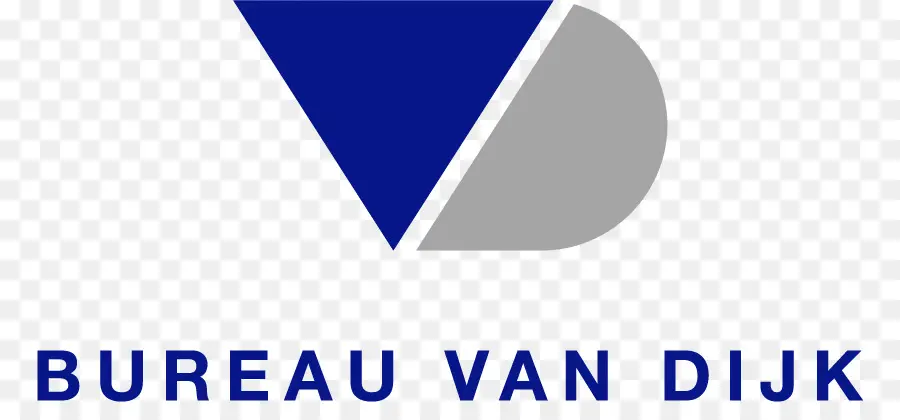 Bureau Van Dijk Logosu，Mavi üçgen PNG