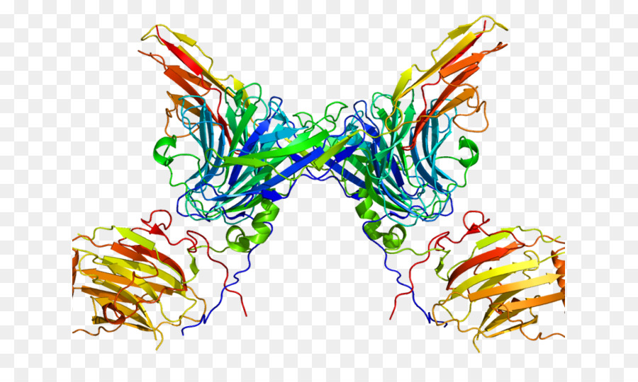 Protein Yapısı，Biyoloji PNG