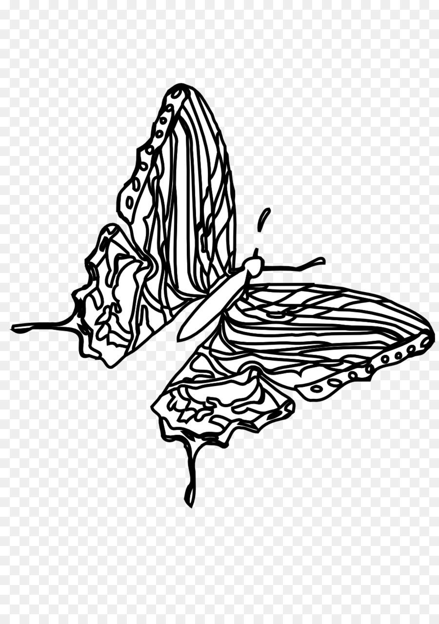 Kelebek，Siyah Ve Beyaz PNG