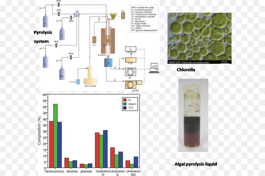 Marka，Chlorella PNG