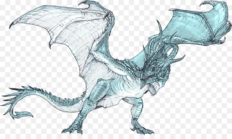 Dünya Ejderha çizim Için Dracopedia Bir Rehber，Wyvern PNG
