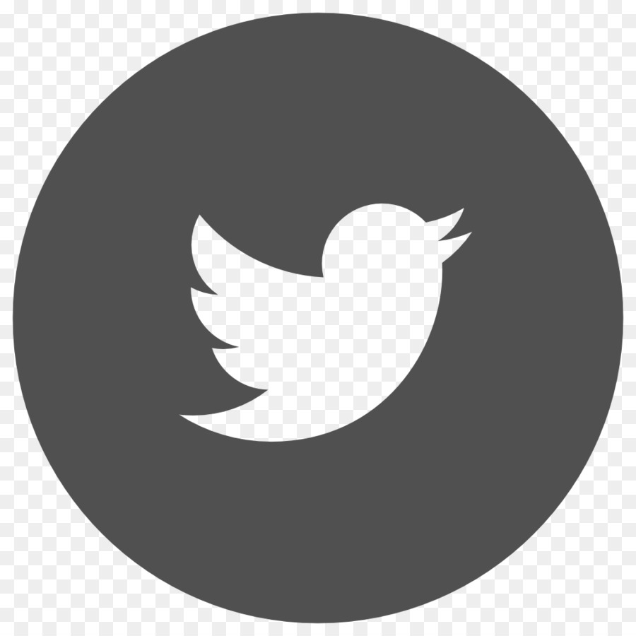 Twitter Logosu，Kuş PNG