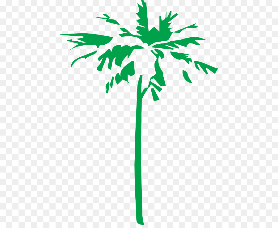 Arecaceae，Logo PNG