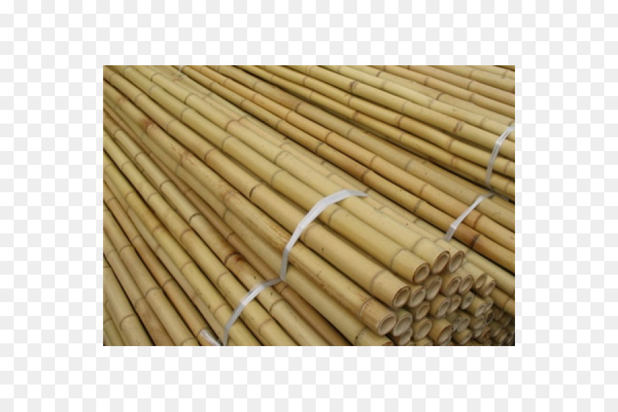 Bambu，Malzeme PNG