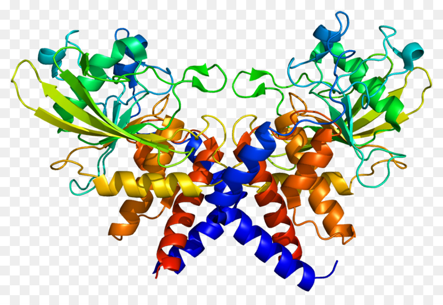 çoğaltma Protein，çoğaltma Protein A3 PNG