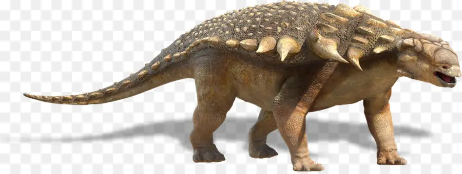 Dinozor，Ankilozor PNG